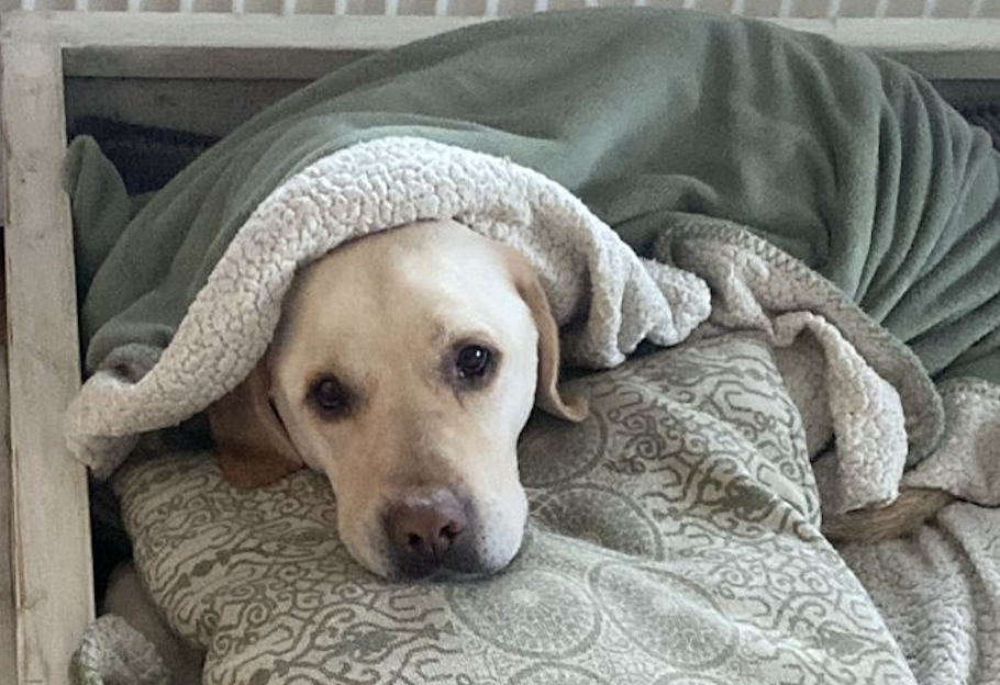 Deze afbeelding heeft een leeg alt-attribuut; de bestandsnaam is Schermafbeelding-2025-01-16-om-12.07.27.png